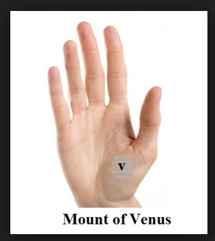 Can't get the lid off a bleach bottle