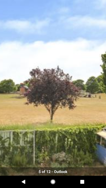 House looking over a park
