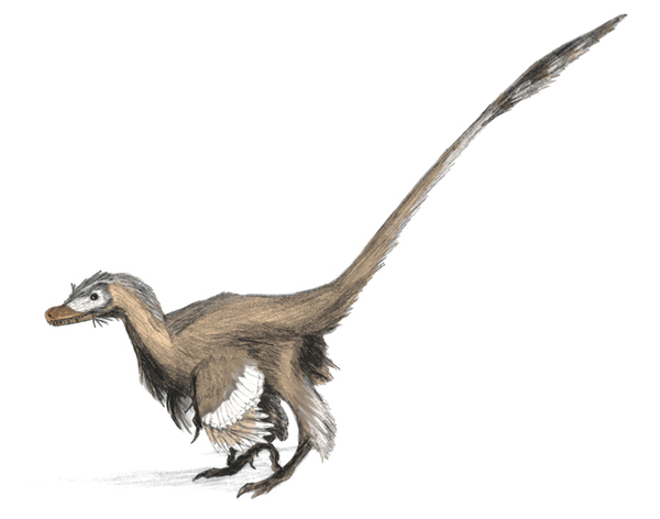 How fucking scary were dinosaurs?!