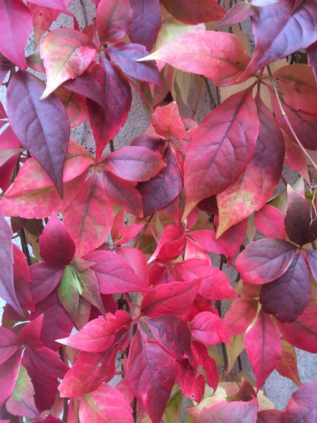 Any Witches Here ? Part 3