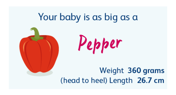 Due Feb 2019 - we’re halfway!