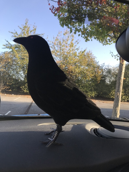 What can I buy from Argos for £4ish to win a bet?