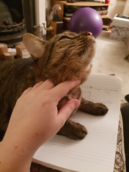 What's your DCat up to today? (Thread 7!)
