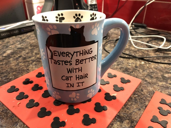 Is four cats too many?