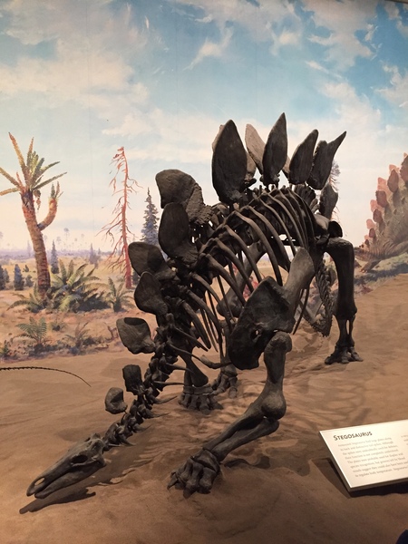 How fucking scary were dinosaurs?!