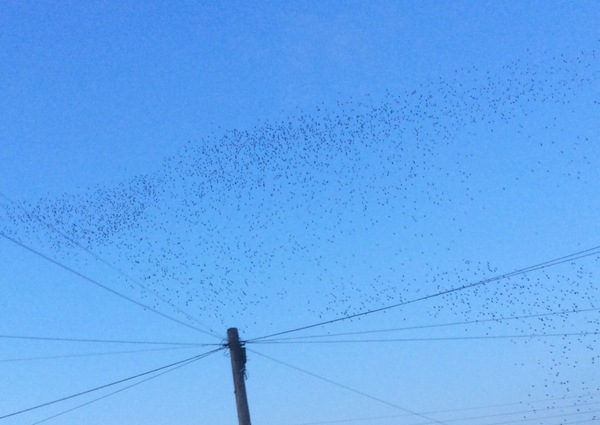 50 Book Challenge 2018 Part Seven