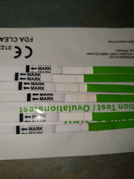 Positive opk?