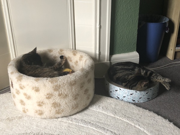 They don’t even like each other anymore