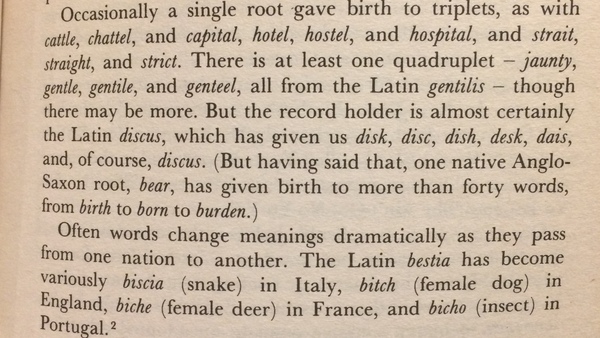 book recommendation needed - learning about Latin and English