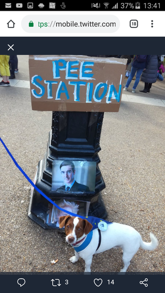 Westministenders: Deadline Day #1