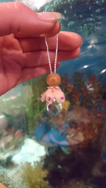 Nearly November; Friendly Frugaleers Navigating (K)nitting, Nattering and Nuturing our Pennies