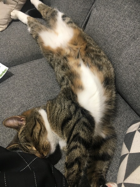 Does anyone else find themselves edged off the sofa?