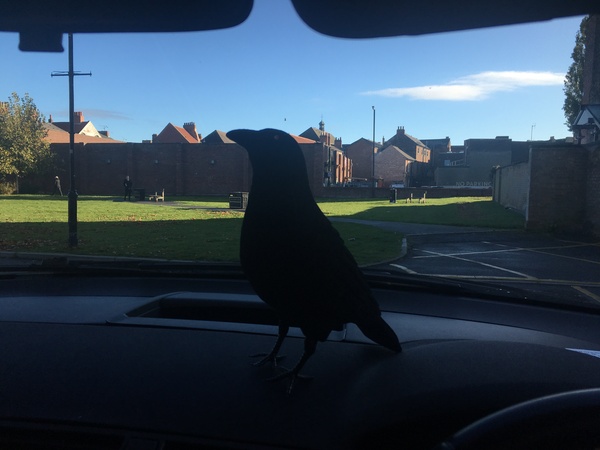 What can I buy from Argos for £4ish to win a bet?