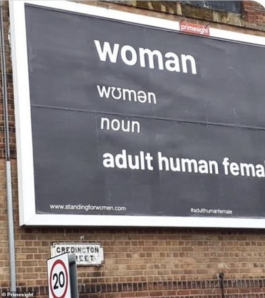 Aggressive Feminism Boards