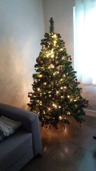 Cats and Christmas trees. Help!