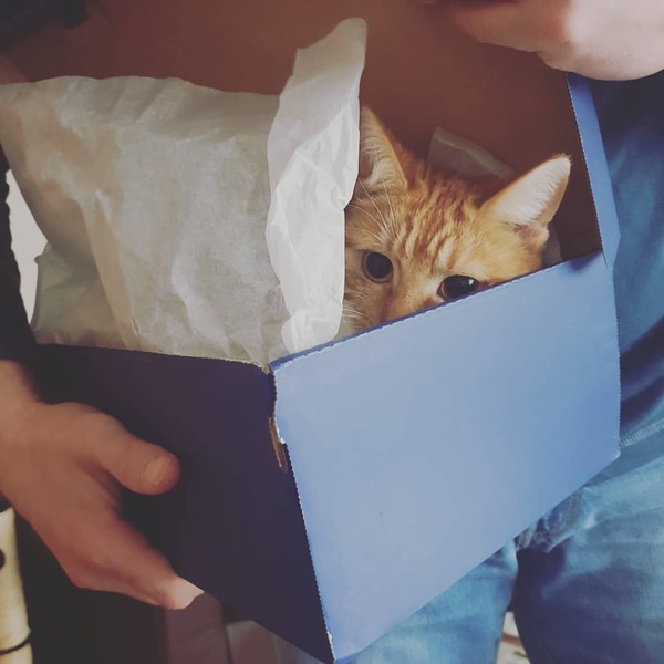 What's your DCat up to today? (Thread 7!)