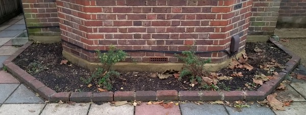 Help! - we need a plan for this border