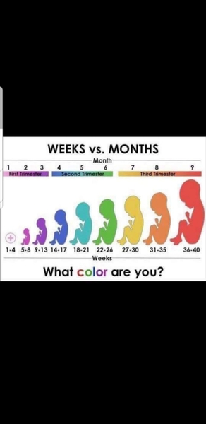 February 2019 babies - onwards and almost the third trimester!