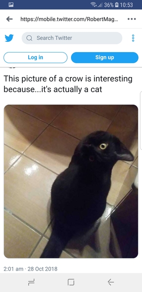 What can I buy from Argos for £4ish to win a bet?