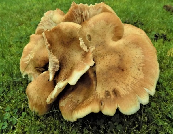 Any Witches Here ? Part 3