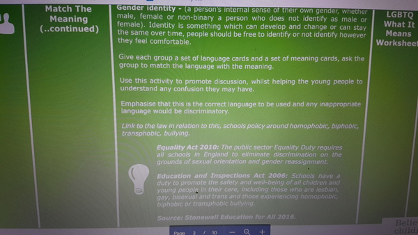 Stonewall Champion School - HT asks 'what safeguarding concerns?