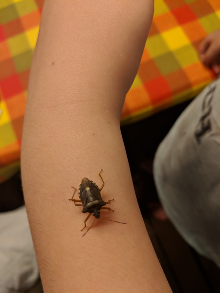 To not want to go back in room i found this bug in!