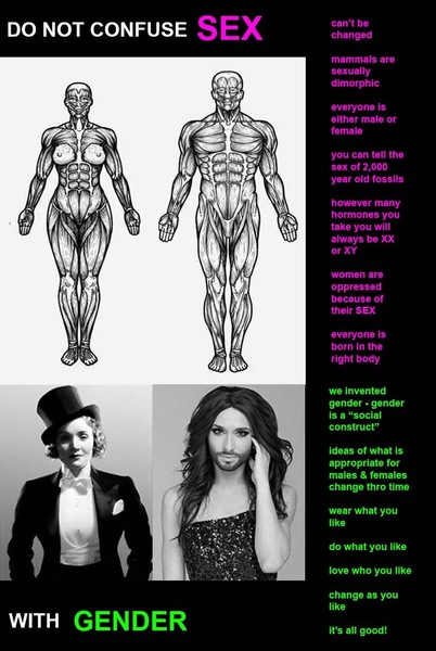 Would you consider me transphobic?