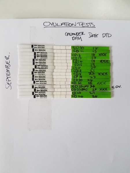 9dpo and negative test