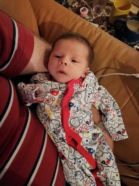 To clap my hands and skip about in a elephantine manner?