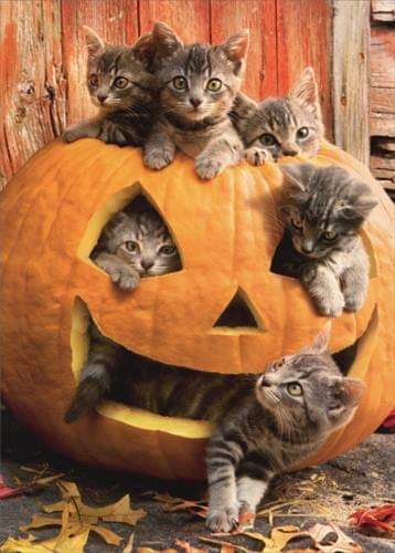 I fucking hate carving pumpkins