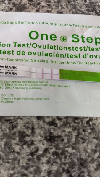 Positive opk? Is it too late ?