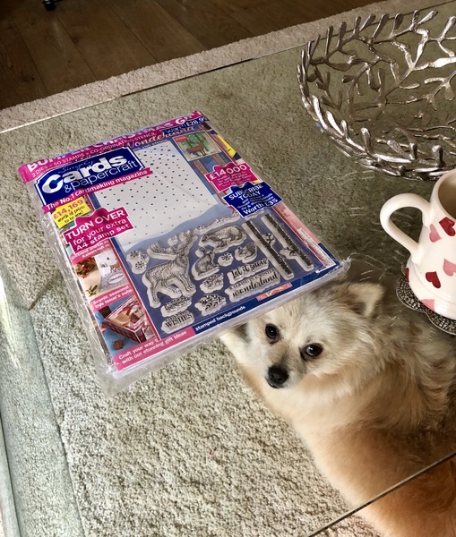 CANCER SUPPORT THREAD 65 - for anyone with cancer or waiting for cancer tests (pets welcome!)
