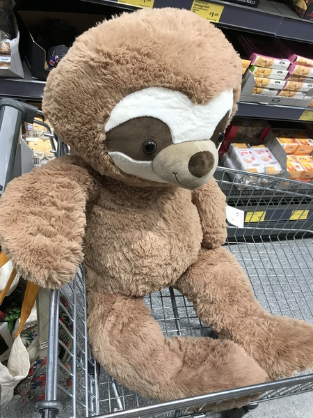 ...to buy Christmas presents from Aldi's wtf aisle
