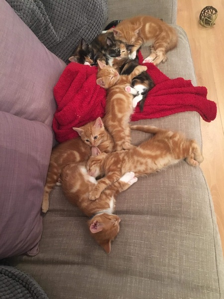 Does anyone else find themselves edged off the sofa?