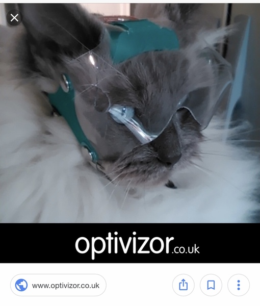 Cone collars