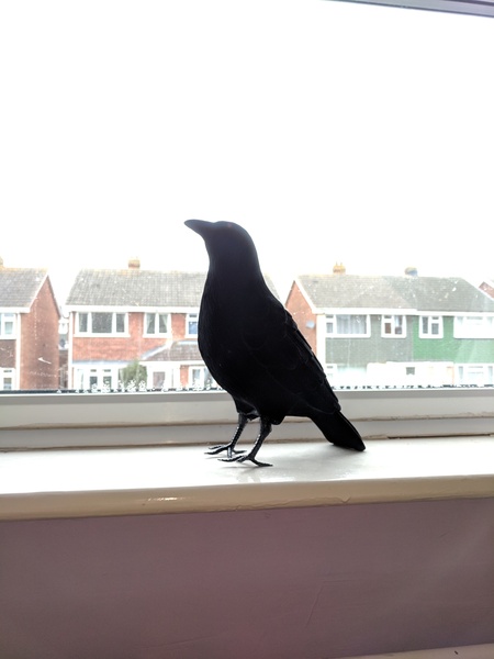 What can I buy from Argos for £4ish to win a bet?