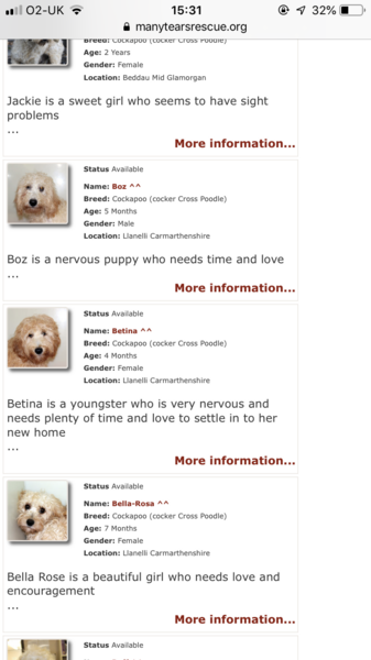 Why are some people so judgemental about getting a puppy, I don’t want to regime someone else’s dog !