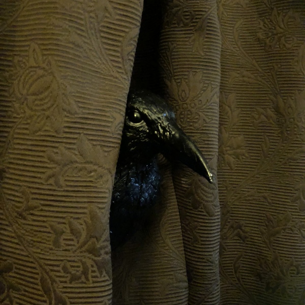 What can I buy from Argos for £4ish to win a bet?