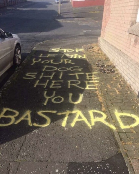 Funniest Graffiti You’ve Ever Seen