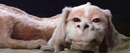 Can anyone tell me the breed of this dog please?