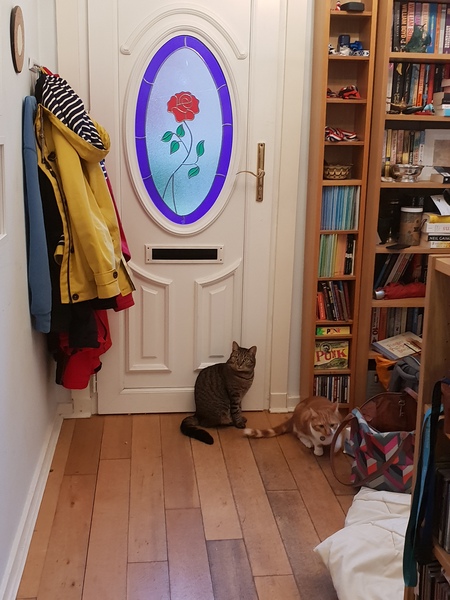 What's your DCat up to today? (Thread 7!)