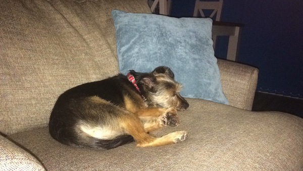Anyone got their hot water bottles out yet?