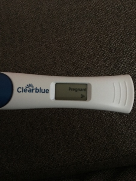 June 2019 - The Early Birds