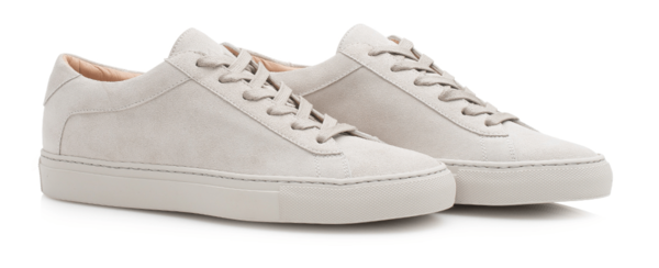 Trainers.... GG, Veja, Victoria - what ones to get?