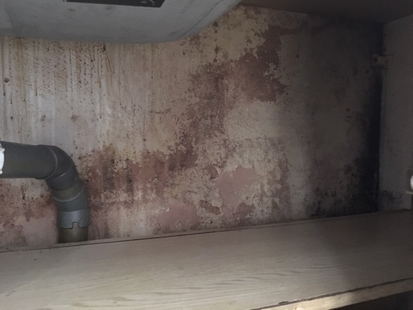AIBU to shut the door on this sodding cupboard and leave it?