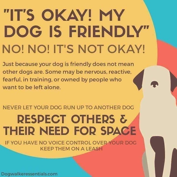 Who was unreasonable? Dog walking.