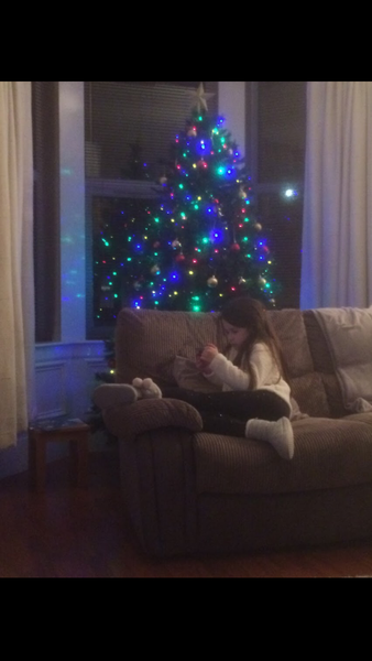Christmas Trees! Show me yours!