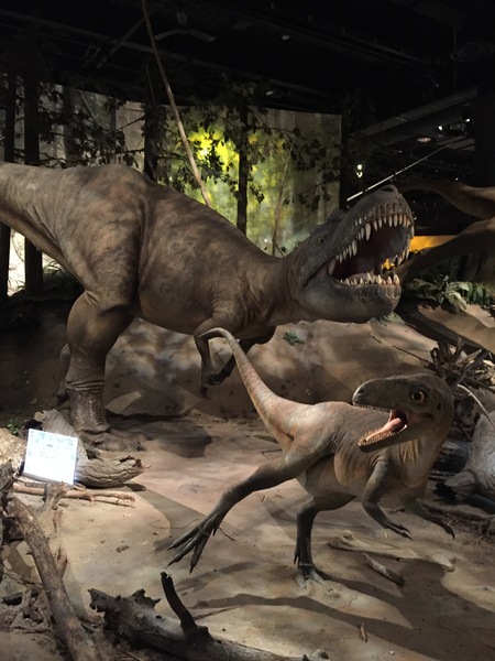 How fucking scary were dinosaurs?!