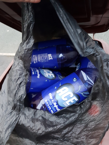 To dump this bag of rubbish on the pavement?
