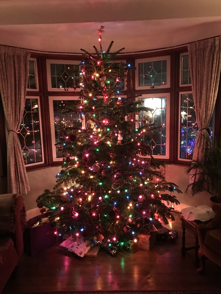 Coloured Christmas Tree Lights- yay or nay?